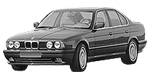 BMW E34 C2495 Fault Code